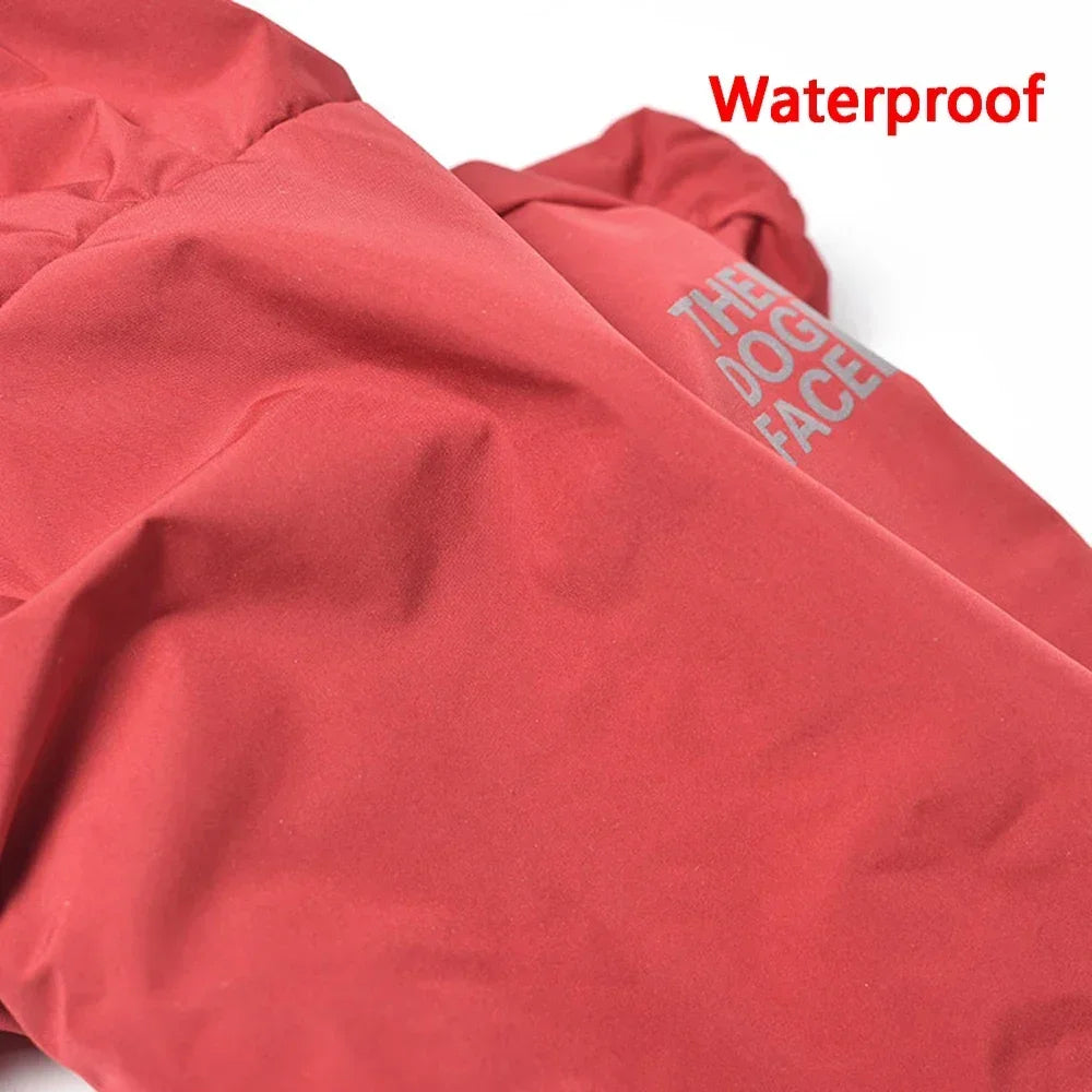 The PupFace Jacket