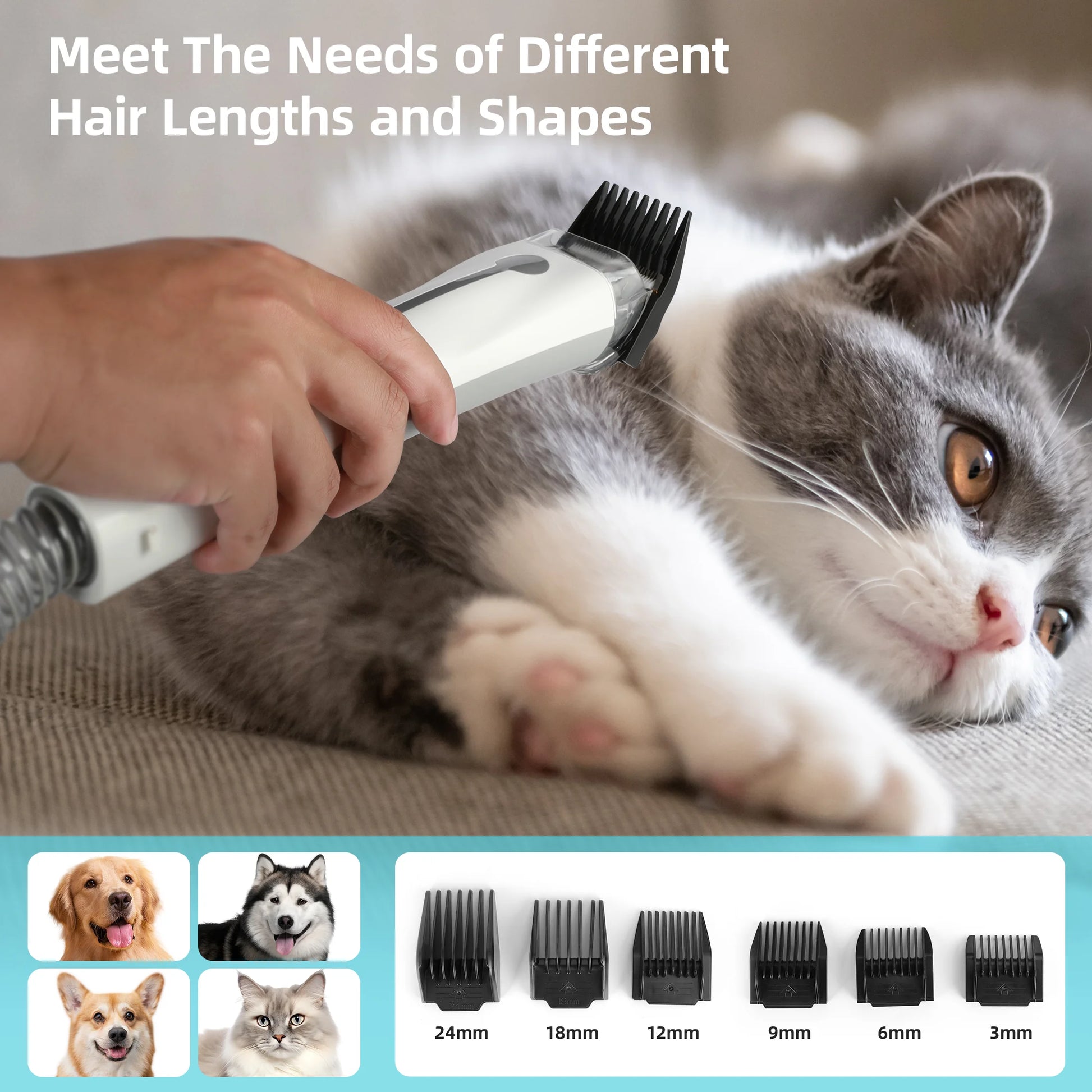 Dog Grooming Kit